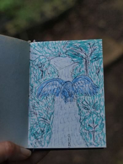 Summer Solstice : The bird overhead