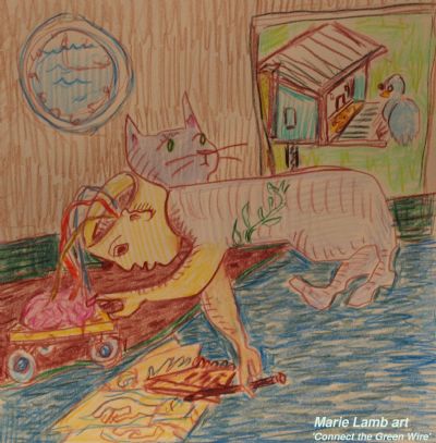 Connect the Green Wire