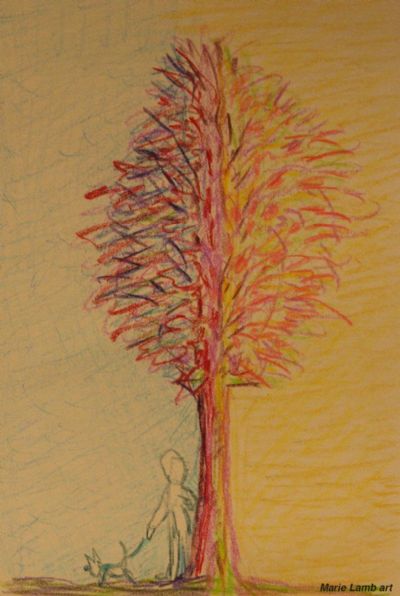 How I Feel About the Light