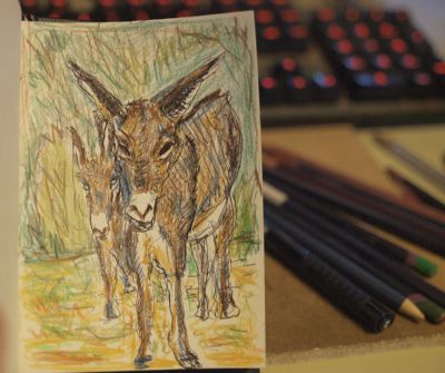 Donkey mother and foal