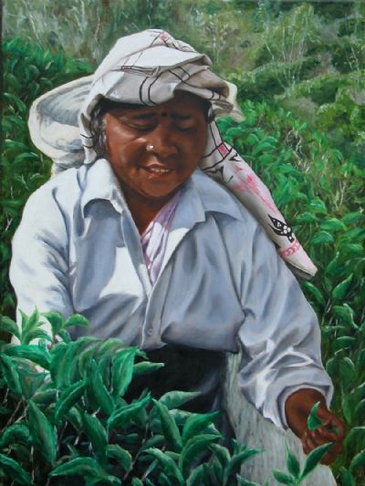 Sri Lanka Tea Picker