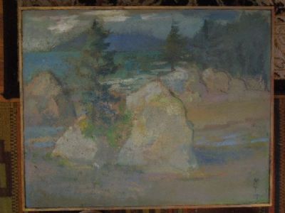 spruce and sea stacks, Oregon coast