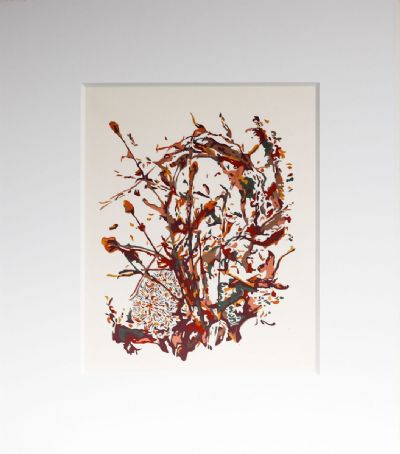 The Creativity of Nature's Chaos