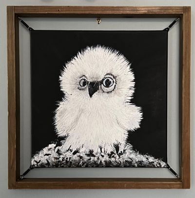 Fuzzy Owlet  Sold!