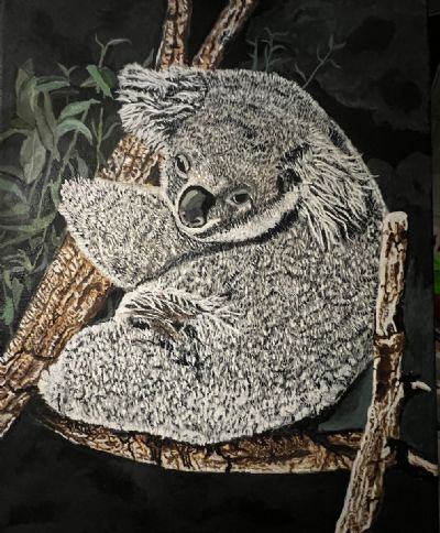 Kirby Koala     Sold!