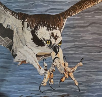 Oh My Dear What Big Talons You Have?