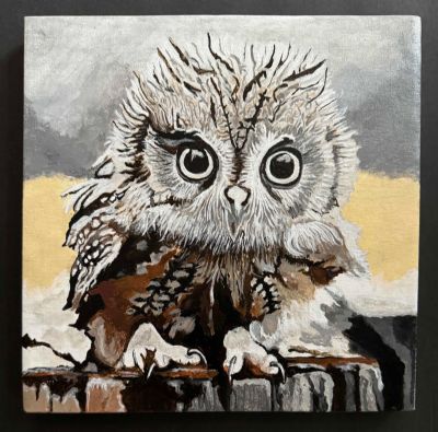 Owlfredo   Sold!