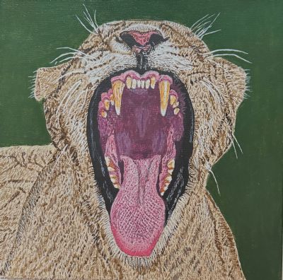 Lioness Needs a Dentist