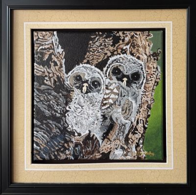 Owlets