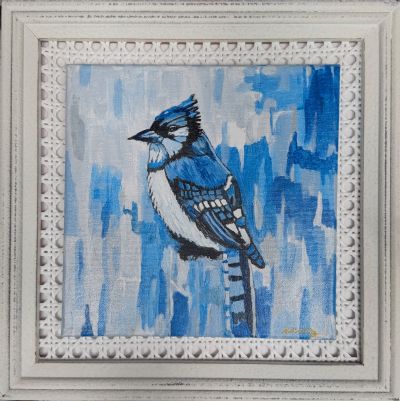 Kentucky Bluejay 2