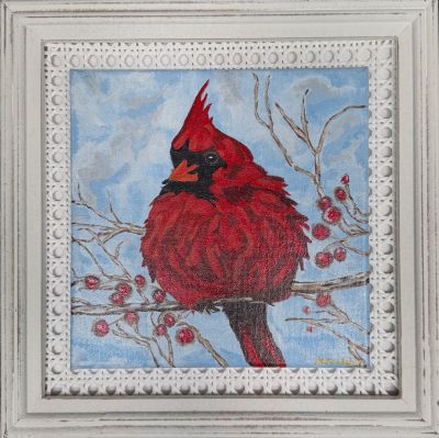 Kentucky Cardinal Puffed Up