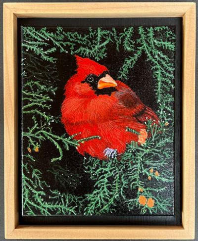  Cardinal on Fir Tree. Gifted