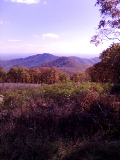 Shenandoah Mountains 