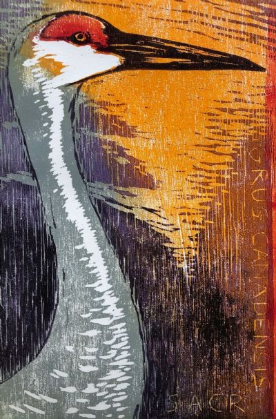 Sandhill Crane Portrait 