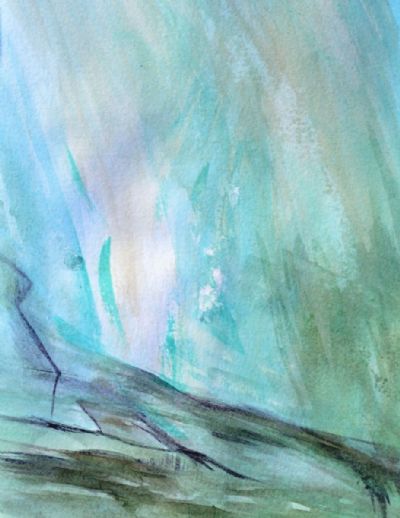 Blackwater (28.142030, -82.166127)