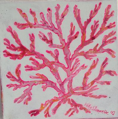Pink Coral