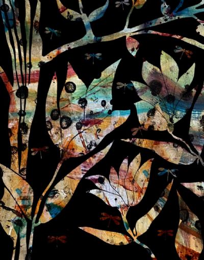 Forest of Dragonflies