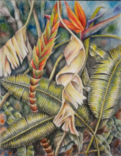 Bird of Paradise Stages