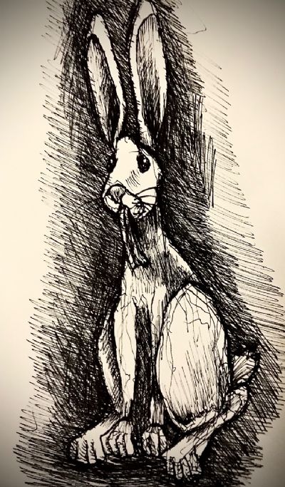 Long toothed Bunny