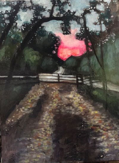 Sunset at Crystal River 