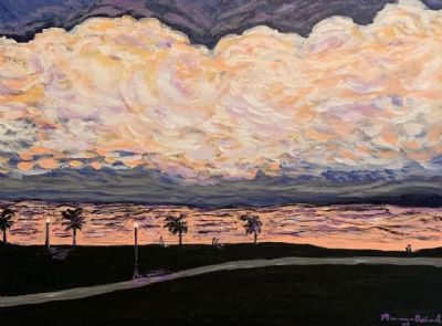 A Walk In Vinoy Park