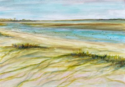 Fort DeSoto Beach,FL