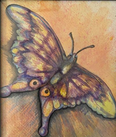 Portrait of a Butterfly