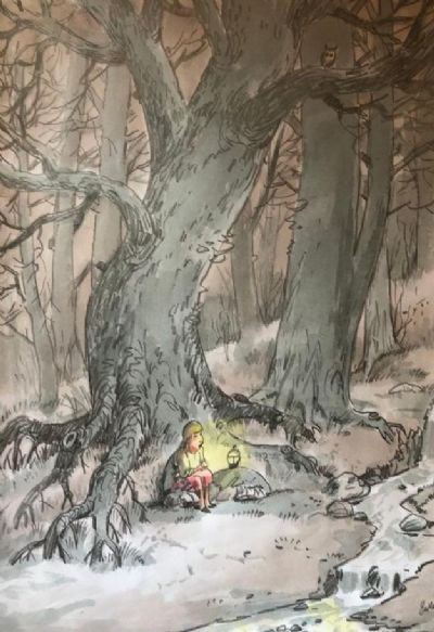 Boy in the woods 