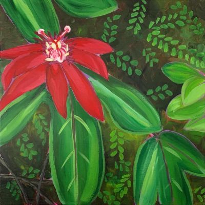 Passiflora incarnata