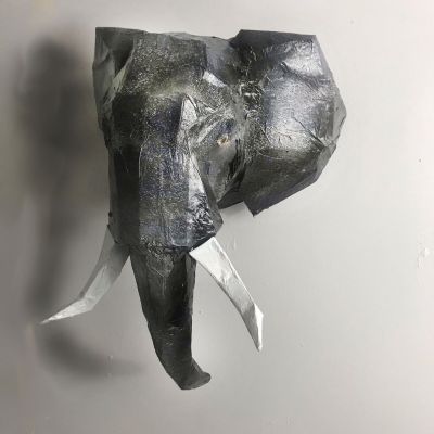 Elephant in the Room