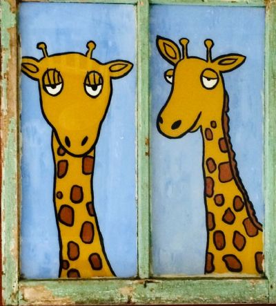 giraffes