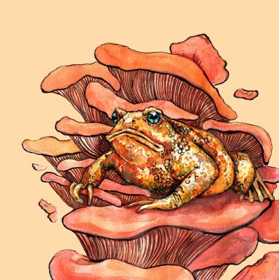 Golden Toad on a Mushroom Throne