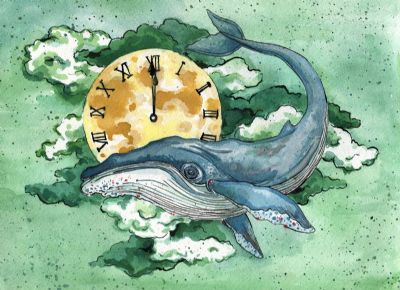 The Midnight Whale