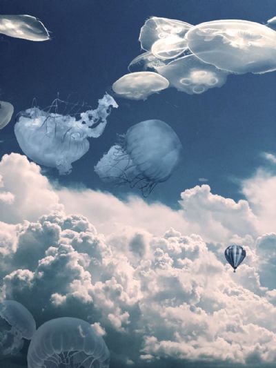 Let's Dream of a Place