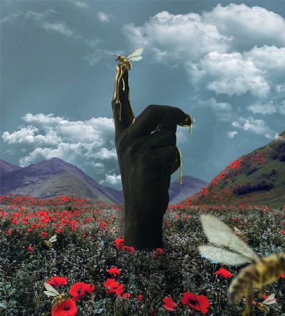 The Sweeter the Juice