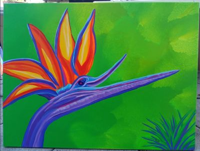 BIRD of PARADISE