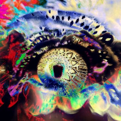 CRITIC - Jaded Judgement