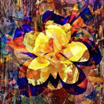 JOY - Nature exploding