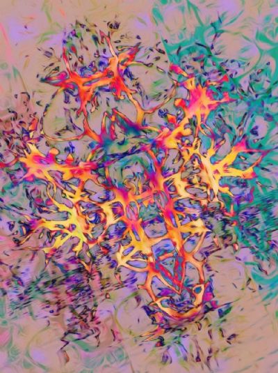 VITAMIN E - Microview of an essential building block of life