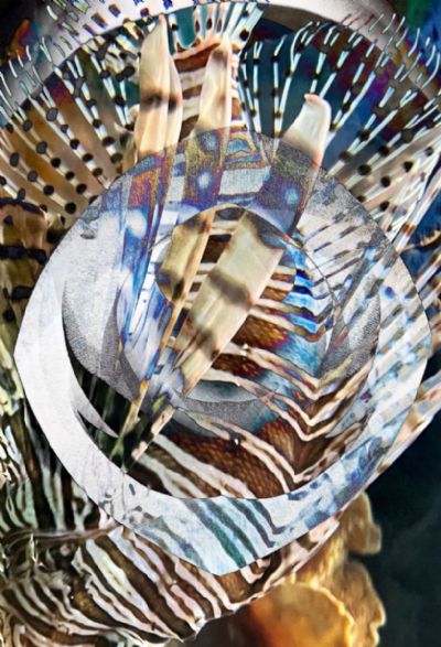 EMERGING ENLIGHTENMENT - Triumph over despair