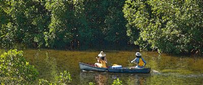 Couples Canoeing 