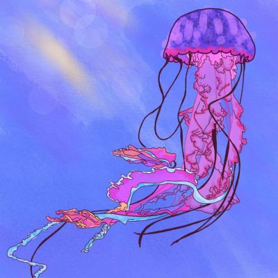 gellyfish