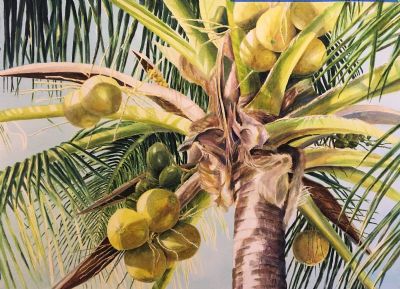 Tree of a Thousand Uses