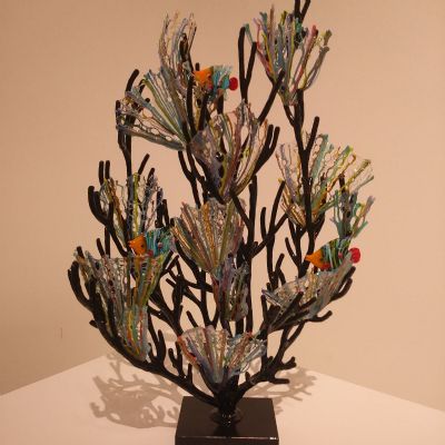 Coral Reef Celebraion