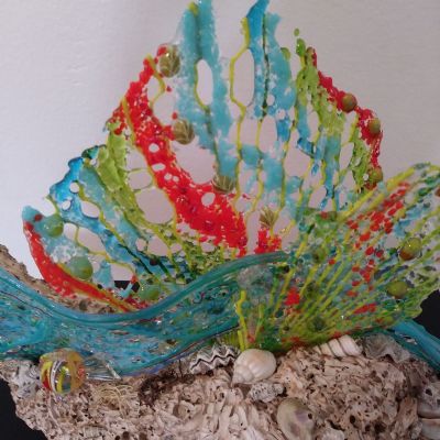 Coral in the Ocean Current