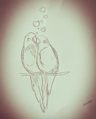 Love Birds