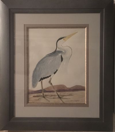Great Blue Heron-R