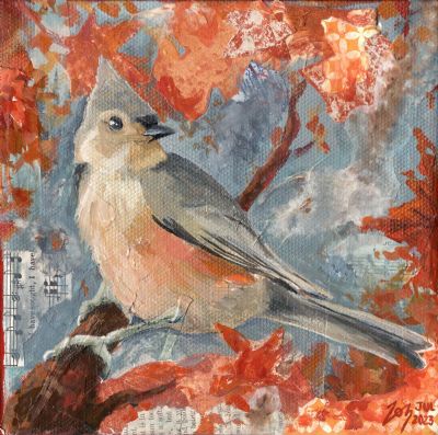 Tufted Titmouse