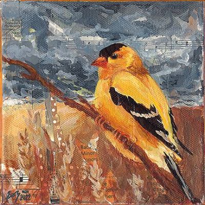 Goldfinch