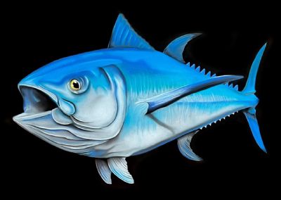 Black Sea - Blue Fin Tuna